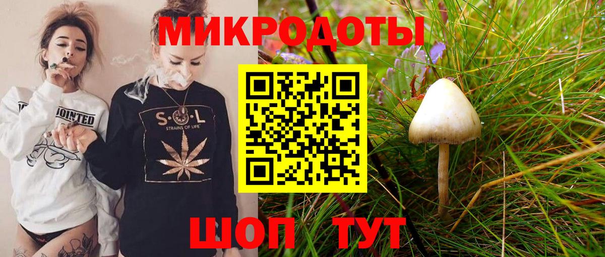 Галлюциногенные грибы GOLDEN TEACHER  Вход с VPN  сколько стоит  Псилоцибиновые грибы GOLDEN TEACHER  Елец 